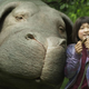 Okja (Photo: Netflix)